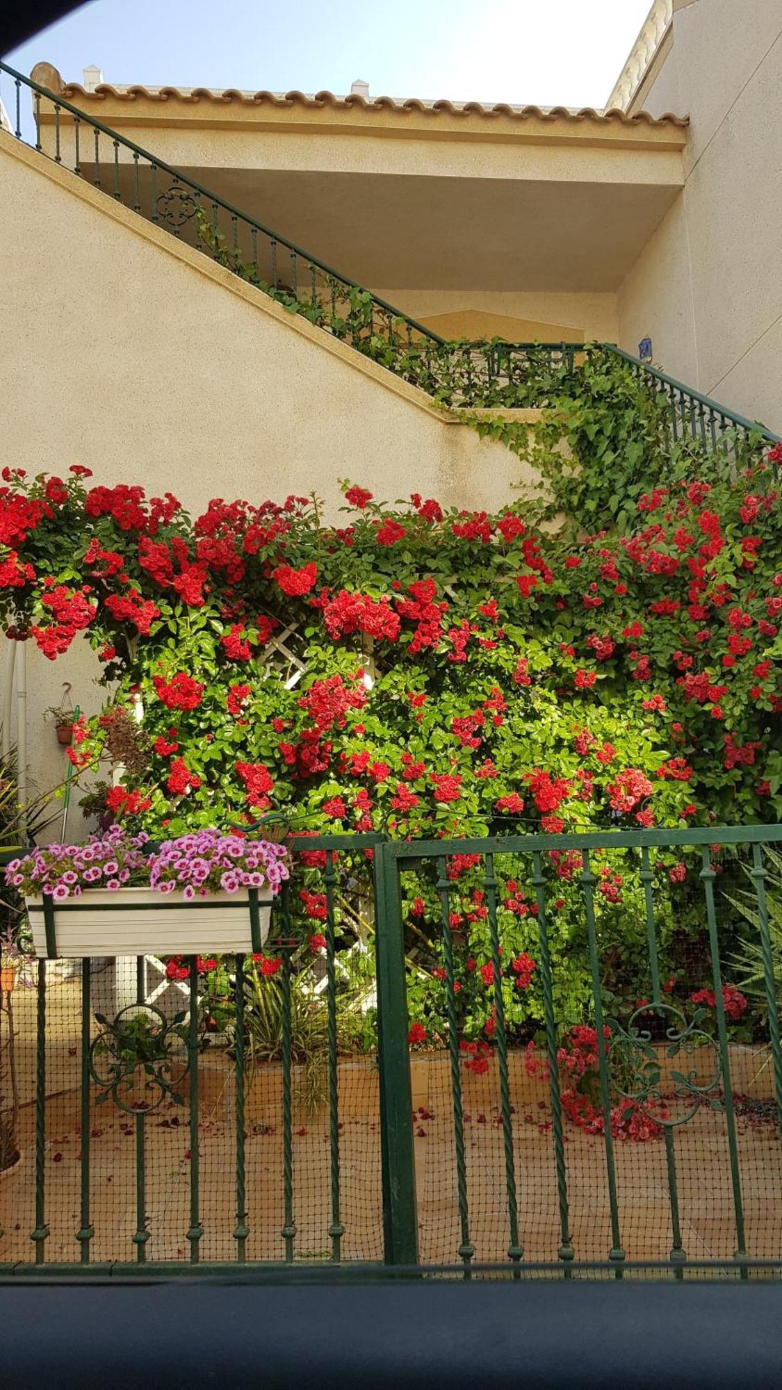 Apartamento Montegolf Con Terraza Privada Los Dolses Exterior photo